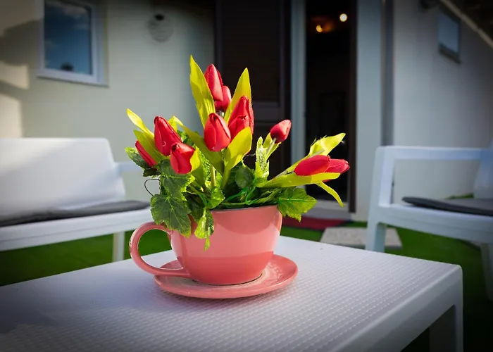 Lory * 阿格里真托